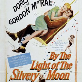 By the Light of the Silvery Moon Movie Poster (Click for full image)