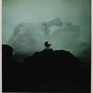 Rosemarys Baby Movie Poster (Click for full image)