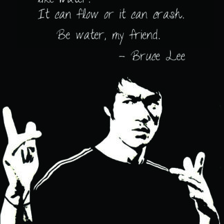 Bruce Lee Poster (Click for full image)