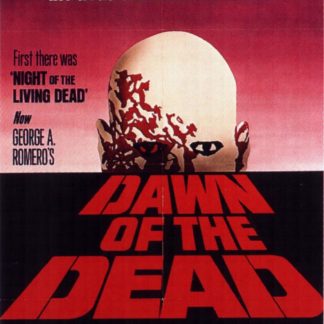 Dawn of the Dead Movie Poster (Click for full image)