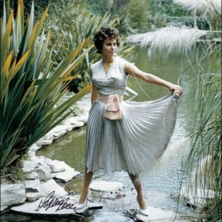 Sophia Loren Autograph (Click for full image)