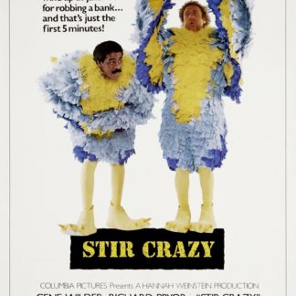 Stir Crazy Movie Poster (Click for full image)