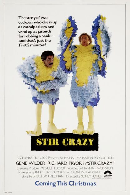 Stir Crazy Movie Poster (Click for full image)