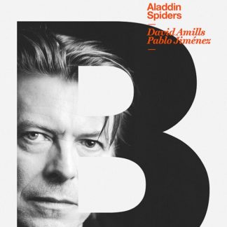 David Bowie Poster (Click For full image)