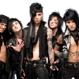BLACK VEIL BRIDES Poster (Click For full image)
