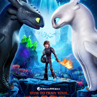 How to train your dragon Movie Poster (Click for full image)