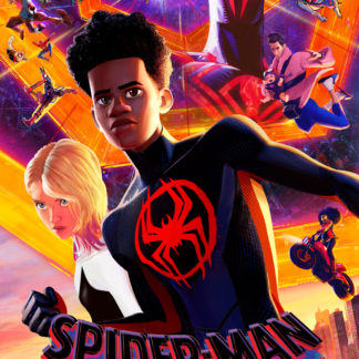 Spider Man Across The Spider Verse Movie Poster  (click for image)